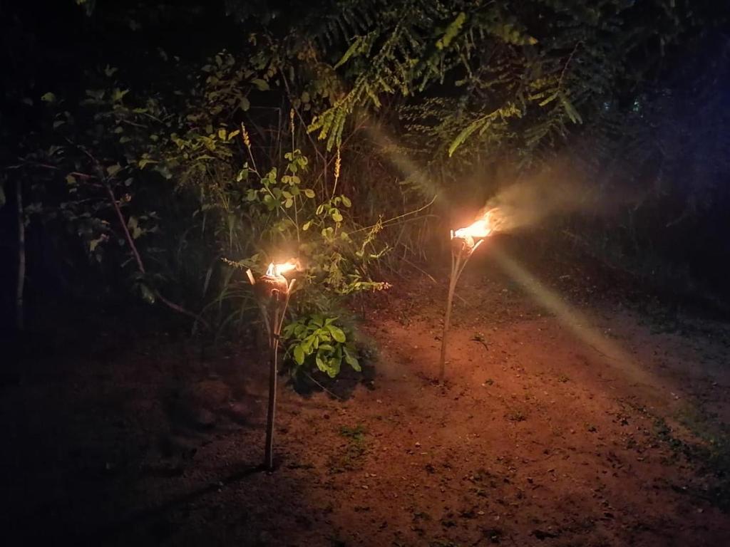 Fotografie z fotogalerie ubytování කැලෑව Jungle Eco Resort v destinaci Anuradhápura