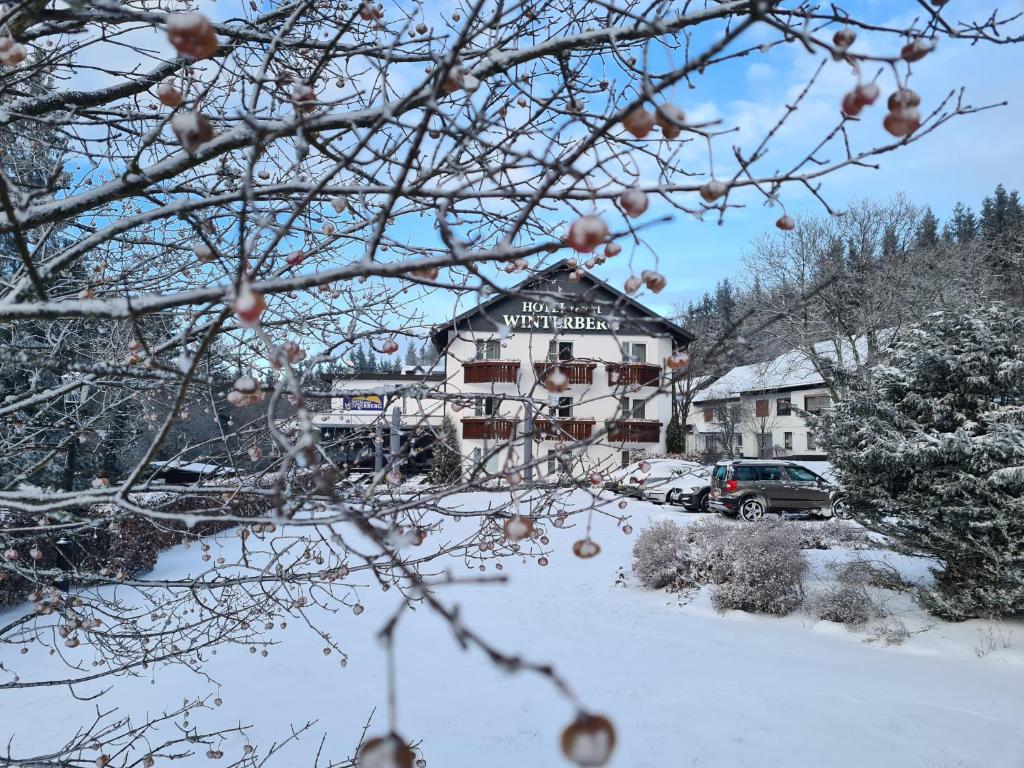 Hotel Winterberg Resort v zimě