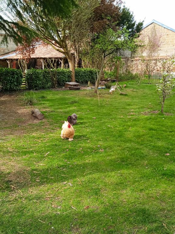 a sheep sitting in the grass in a yard at Les Clés du Parc in Combrand