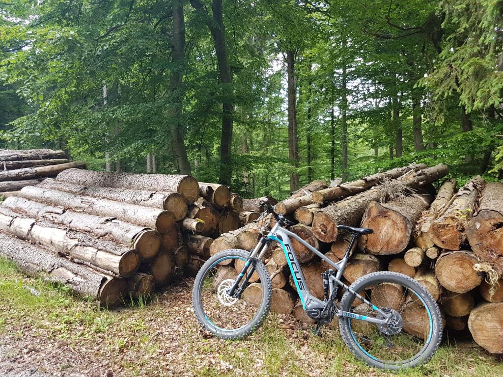 Jízda na kole v ubytování Hotel Winterberg Resort nebo okolí