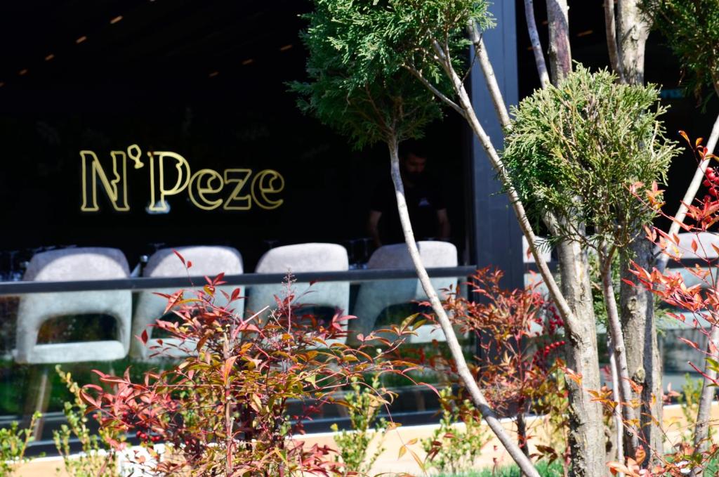 Zahrada ubytování N'Peze Hotel