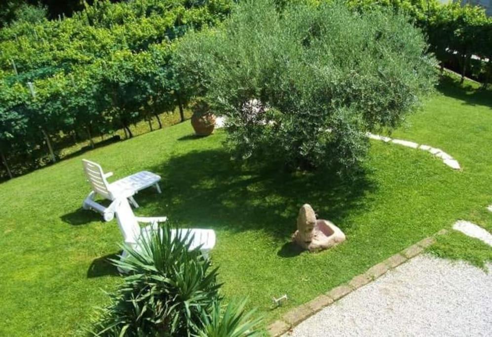 un banco del parque sentado en el césped cerca de un árbol en Le Perine, en Valdobbiadene