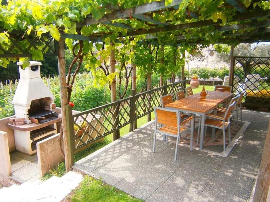 A garden outside Le Perine