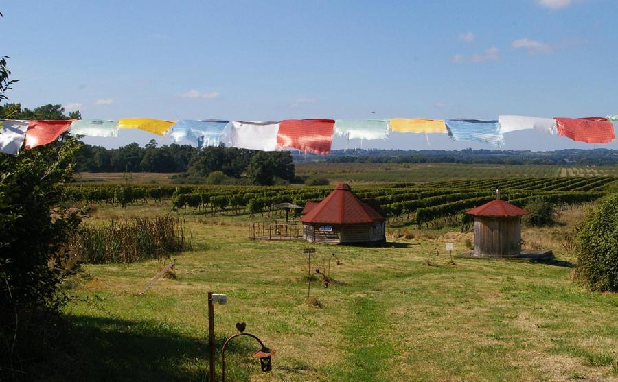 um campo com um monte de bandeiras voando no céu em village privatisé de cabanes insolites d'Ananda Ma em Saint-Aubin-de-Lanquais