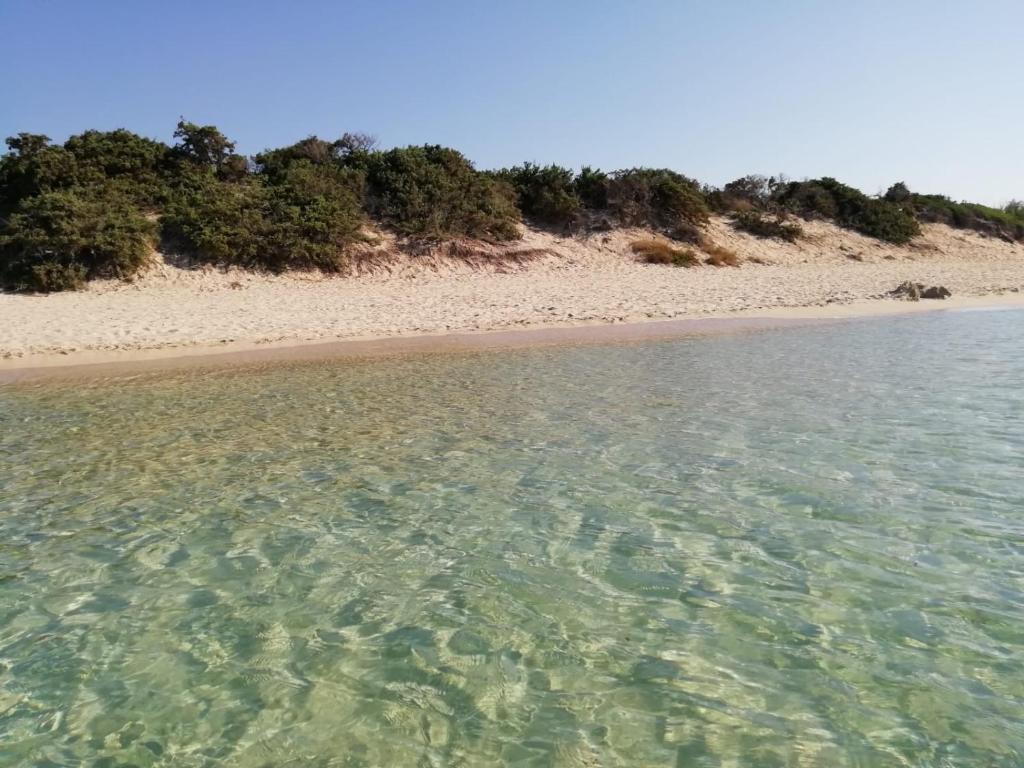 Φυσικό τοπίο κοντά σε αυτό το διαμέρισμα
