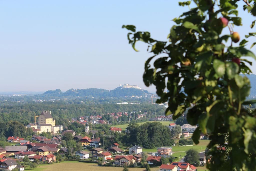 Příroda nedaleko apartmánu