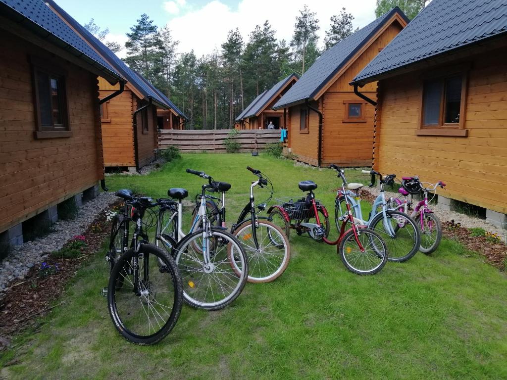 Jazda na bicykli v okolí ubytovania Lesne Runo Borsk