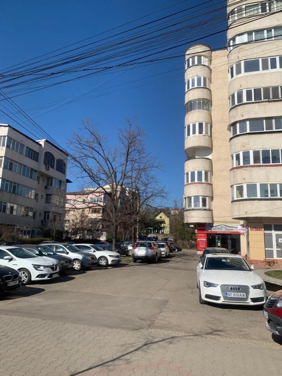 Photo de la galerie de l'établissement Apartament Ultraconfort, à Iaşi