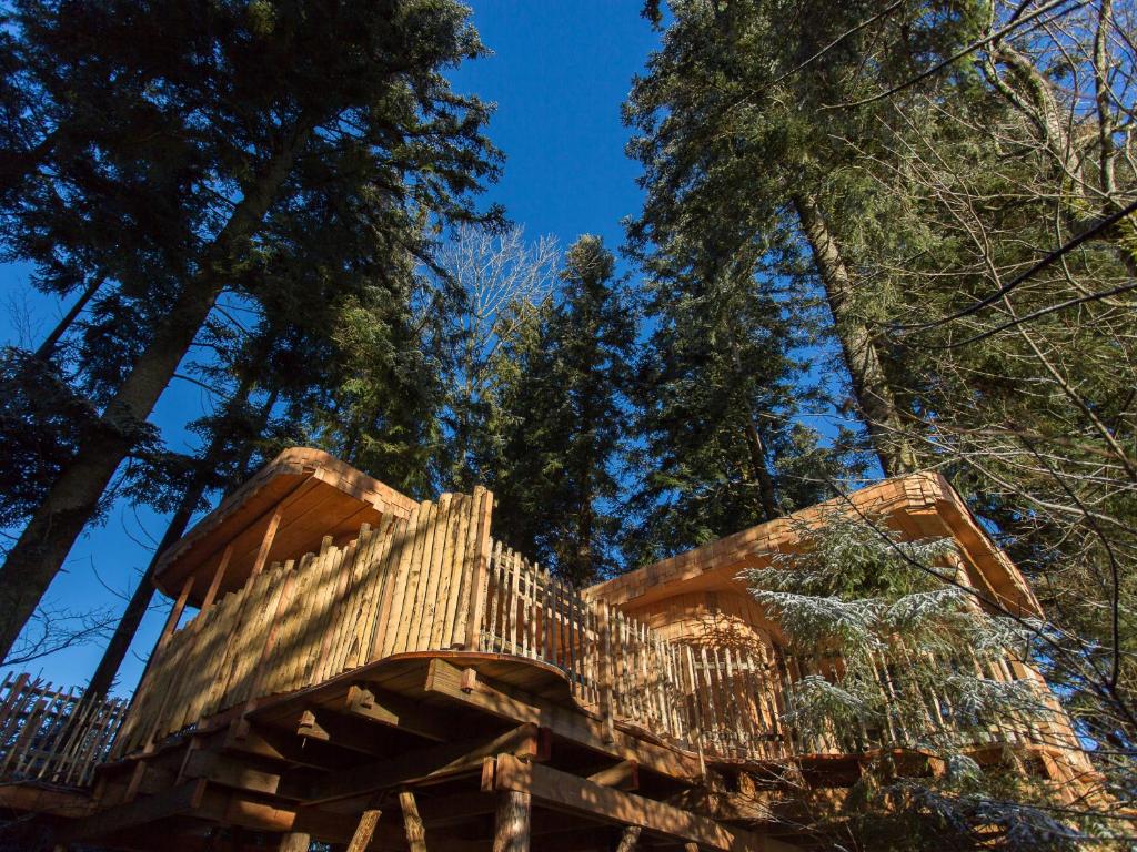 a wooden deck with trees in the background at Domaine de l'Authentique Cabanes dans les arbres in Fournet-Blancheroche