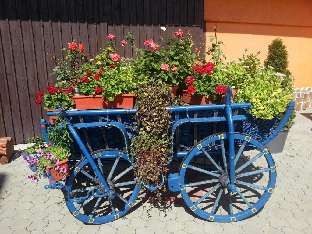 Hotel Bliss - Resim 18