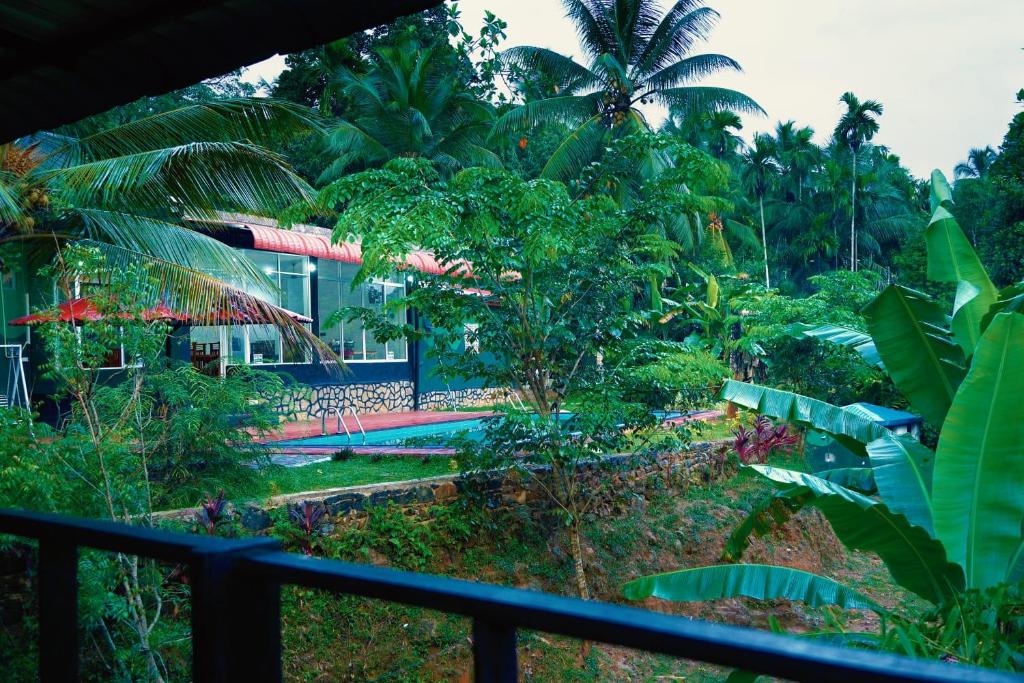 Bazén v ubytování Discovery resort nebo v jeho okolí