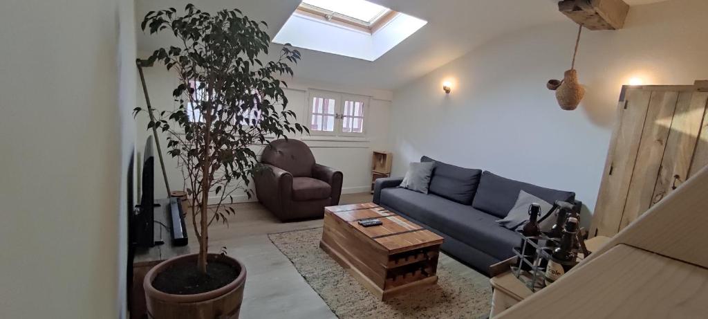 uma sala de estar com um sofá azul e uma planta em La Grange Climatisé em Baiona