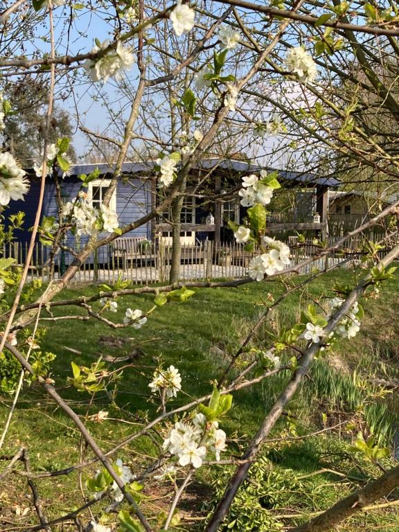 een huis met een hek en bloemen in een tuin bij De Weide Blick in Biggekerke