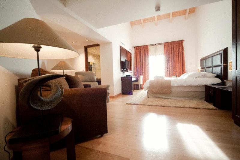 Kalavrita Canyon Hotel & Spa - 9