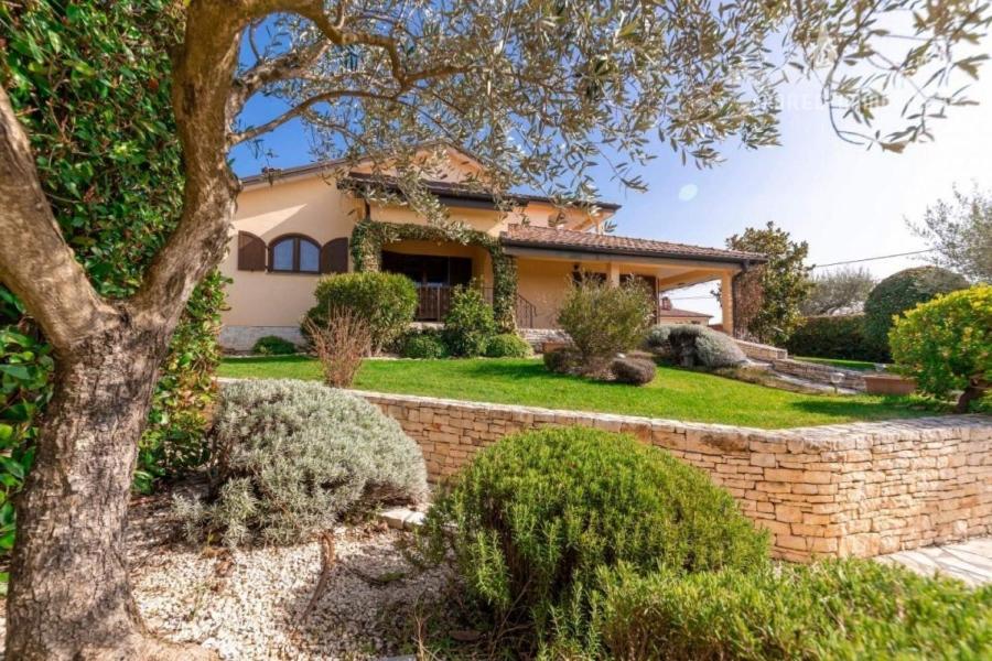 Vonkajšia záhrada v ubytovaní Villa ALEXANDER