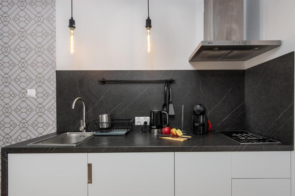 Kuchyň nebo kuchyňský kout v ubytování Apartament Mechelinki