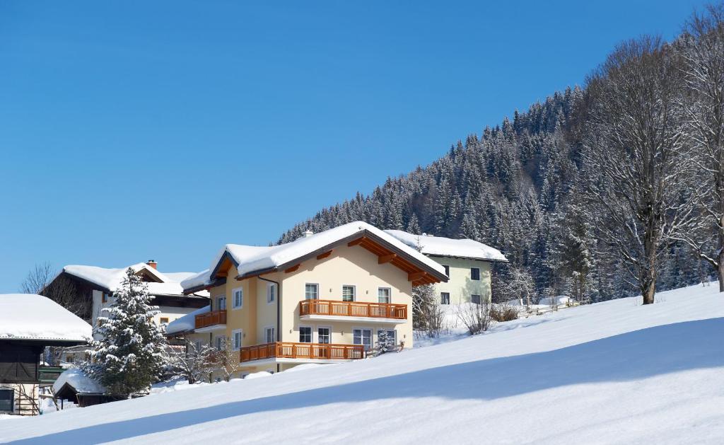 ein Haus auf einem schneebedeckten Hügel mit Bäumen in der Unterkunft Appartements Bergblick in Flachau