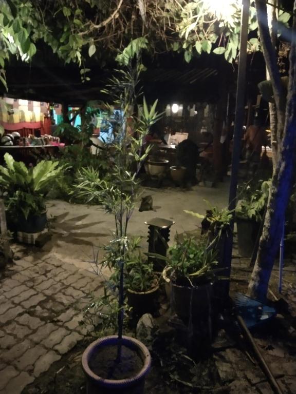 Zahrada ubytování Nazri Nipah Camp Pangkor