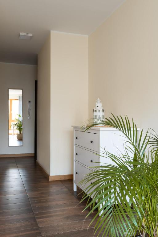 Apartamenty Maestro - 1