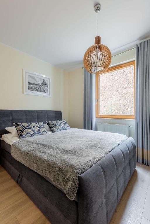 Apartamenty Maestro - 3