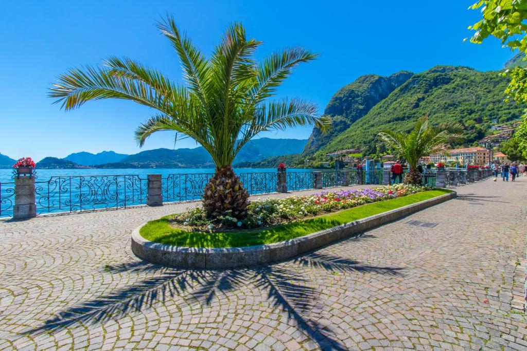 a palm tree sitting on a sidewalk next to the water at Apartment delle Rose - Menaggio in Menaggio