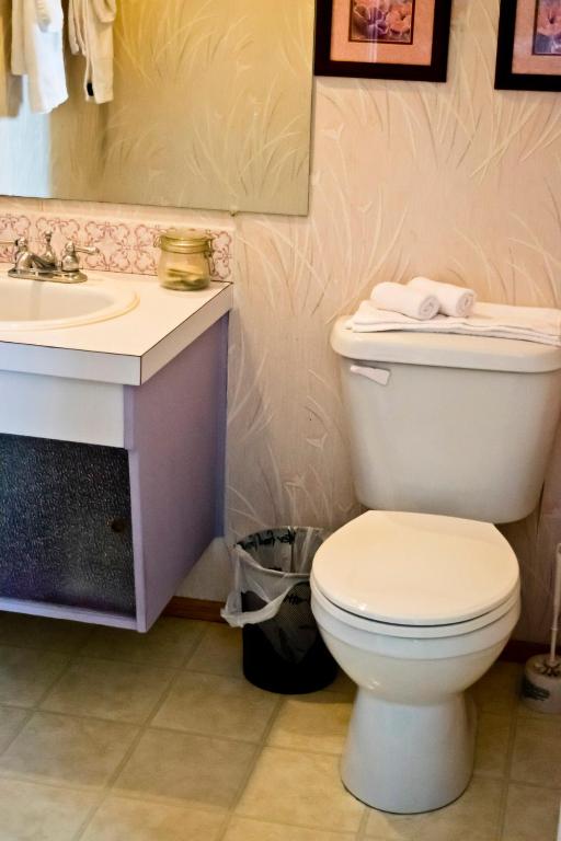 a bathroom with a toilet and a sink at The Dewberry Homestay B&B in Edmonton
