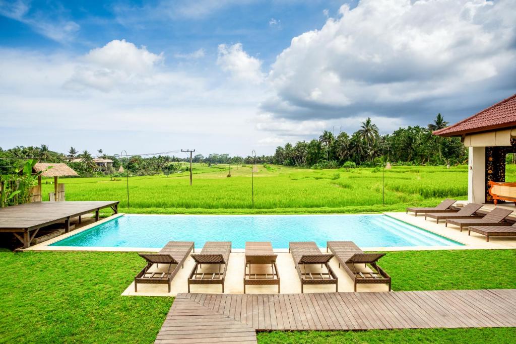乌布Champaca Luxury Villas Ubud的田野旁有躺椅的游泳池