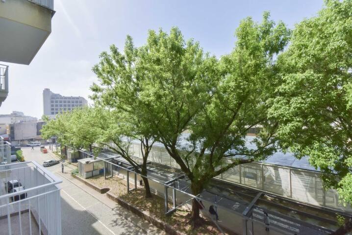 Lolla's City House - 6