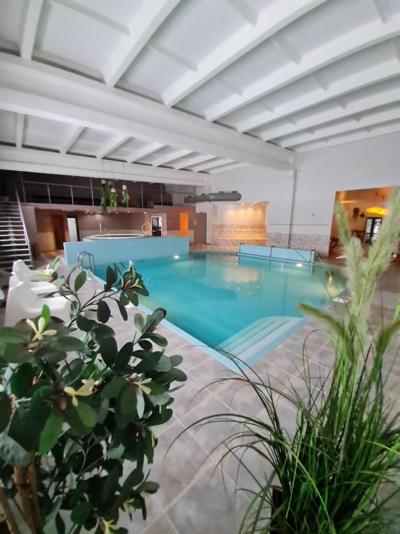 a large swimming pool in a building with plants at Citrus SPA Hotel in Jēkabpils