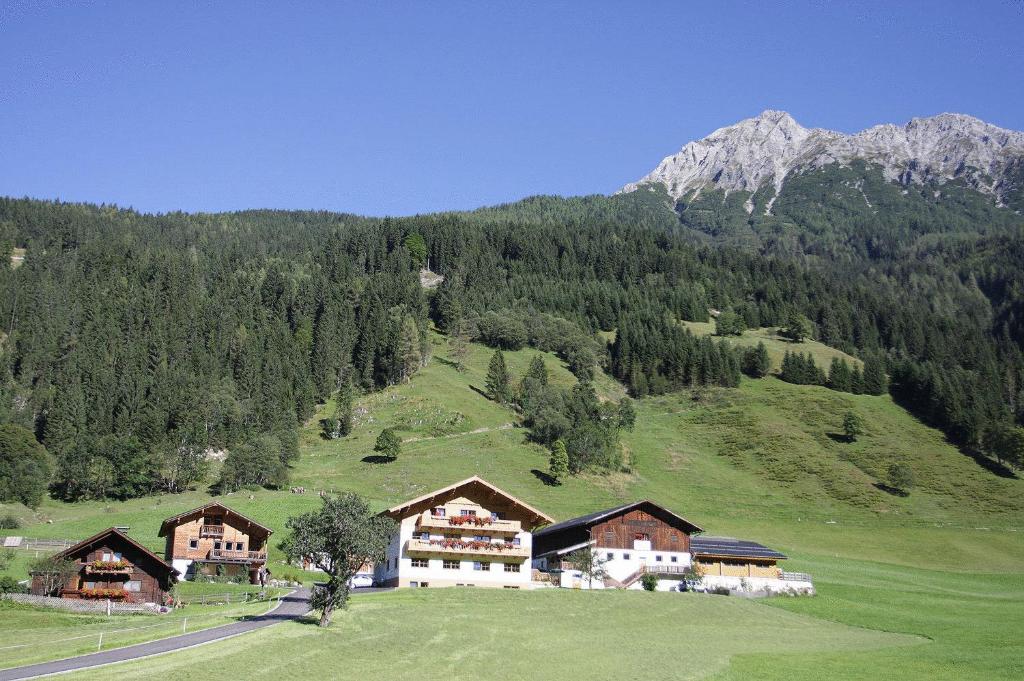 um grupo de edifícios numa colina com uma montanha em Ferienwohnungen Schwabhof em Kleinarl