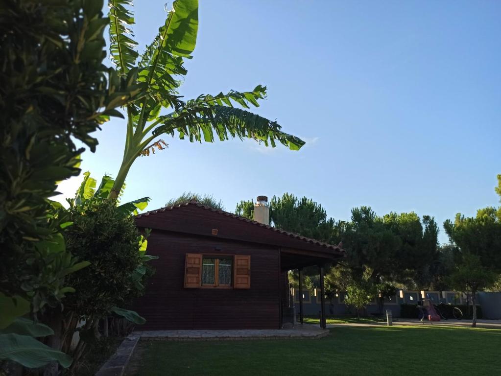 Vonkajšia záhrada v ubytovaní Aliki Guest House