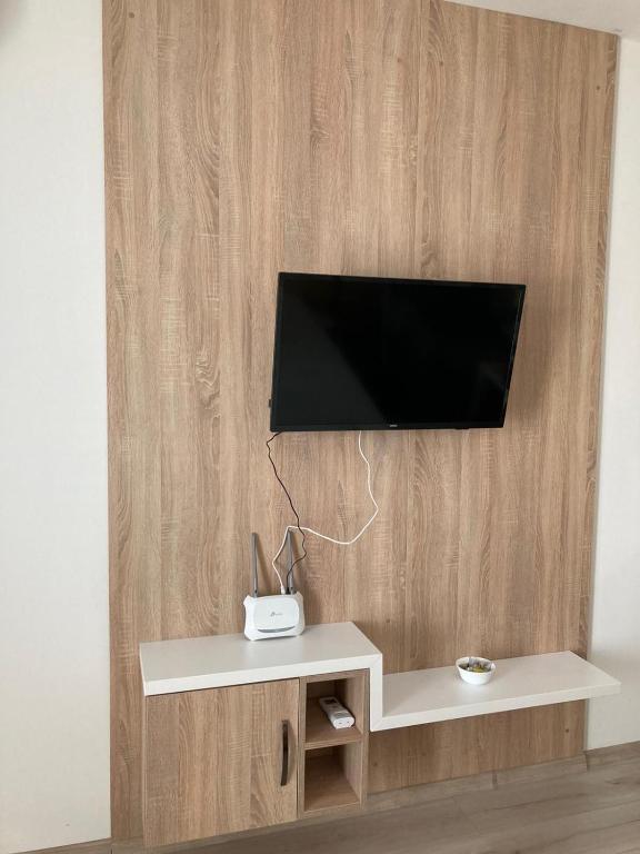 TV a/nebo společenská místnost v ubytování Apartmán Flower