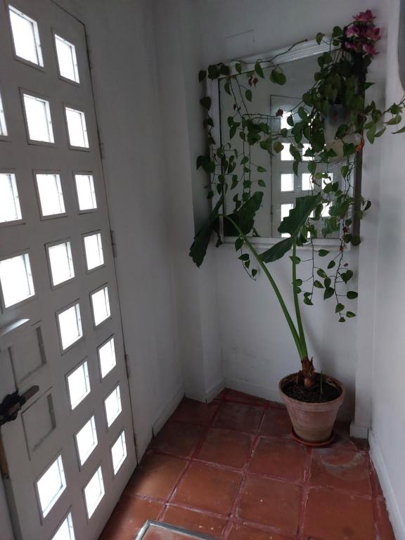 Zdjęcie z galerii obiektu Apartamento tipo loth Alameda w Sewilli