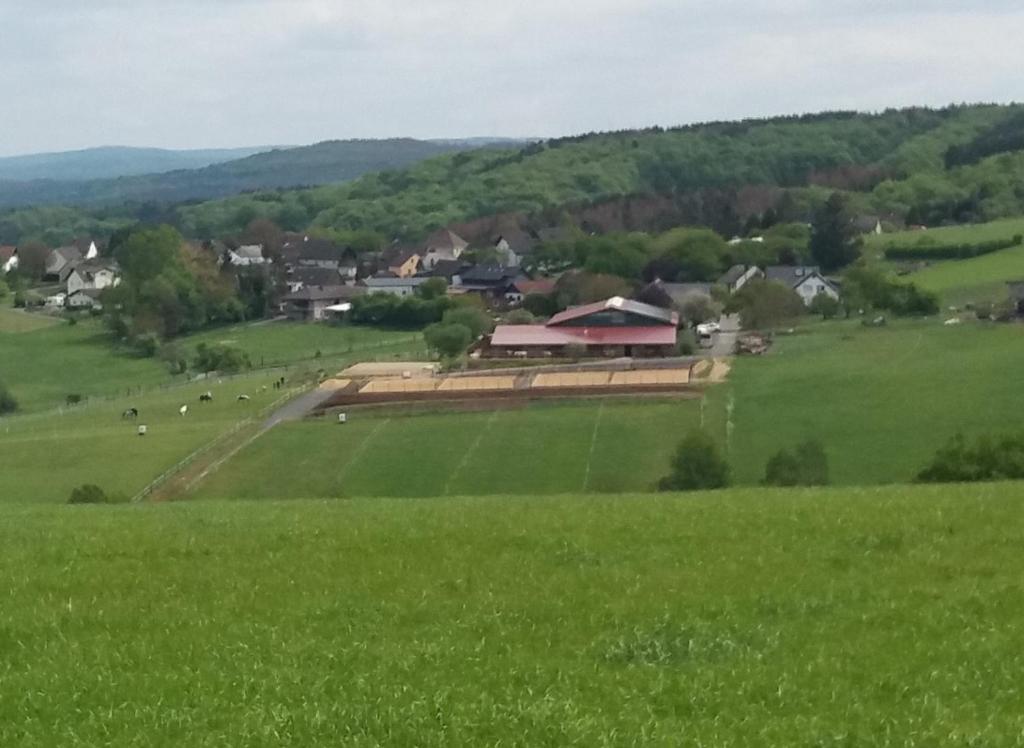 un campo de hierba verde con una granja a lo lejos en Schönes Appartement " Die Ponybude" auf unserem Reiterhof, en Birkenbeul