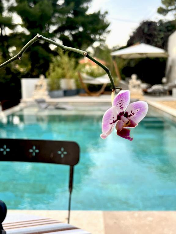 La Chambre Cézanne - 16