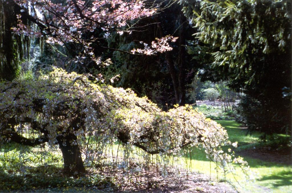 Jardín al aire libre en Casa Candana