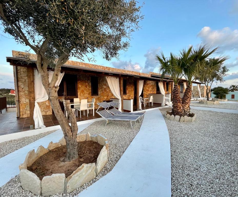 a resort with a tree in the middle of a walkway at Dammusi cala croce in Lampedusa