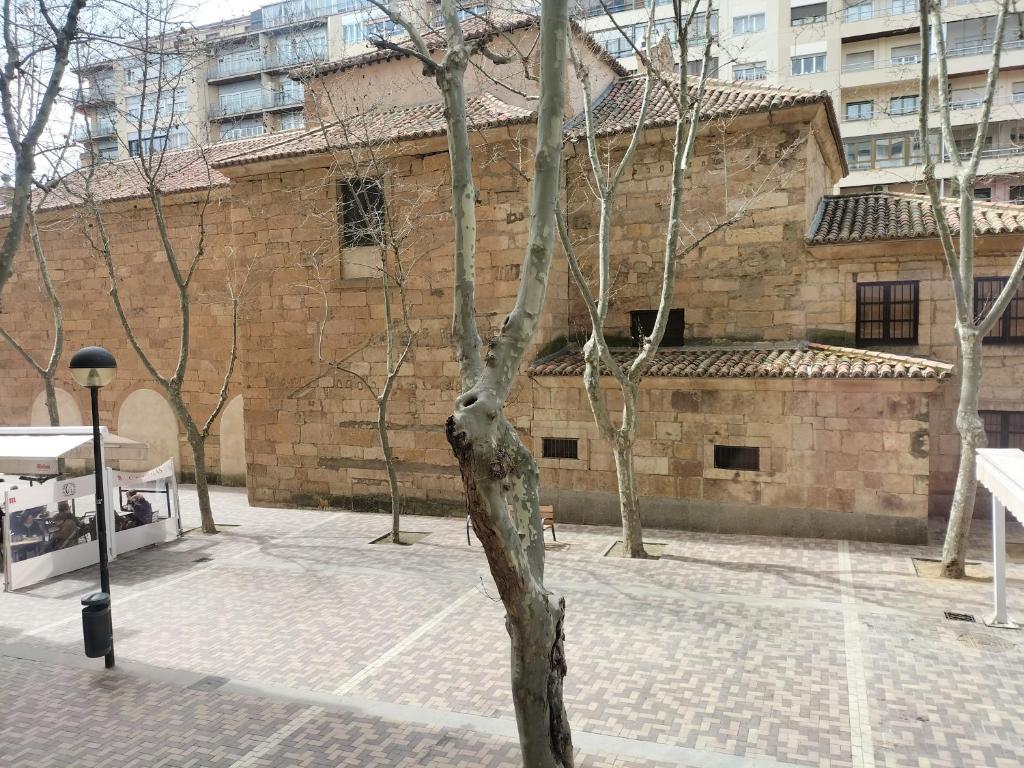 un árbol en un patio frente a un edificio en Hostal Albero by gaiarooms, en Salamanca