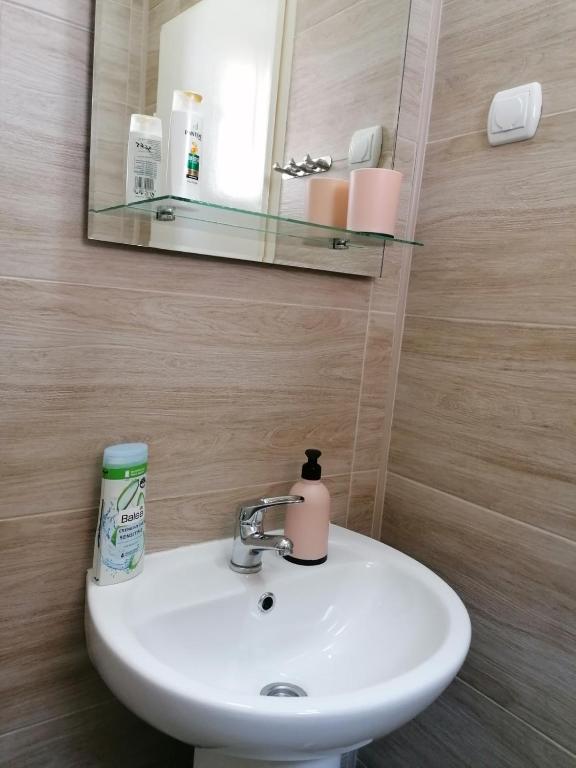 Vannituba majutusasutuses Haus Apartman Zaječar M&L