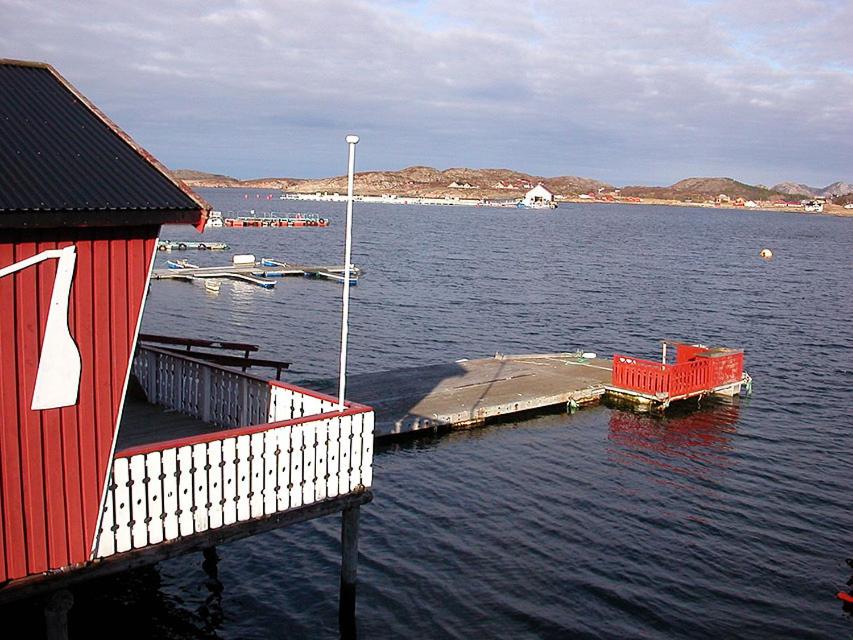 un muelle en una gran masa de agua con barcos en Havgløtt, en Rabben