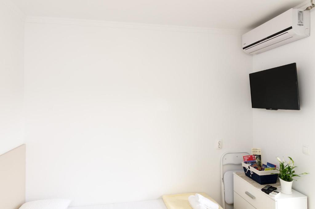 Televízia a/alebo spoločenská miestnosť v ubytovaní Apartment and Room Kapelica