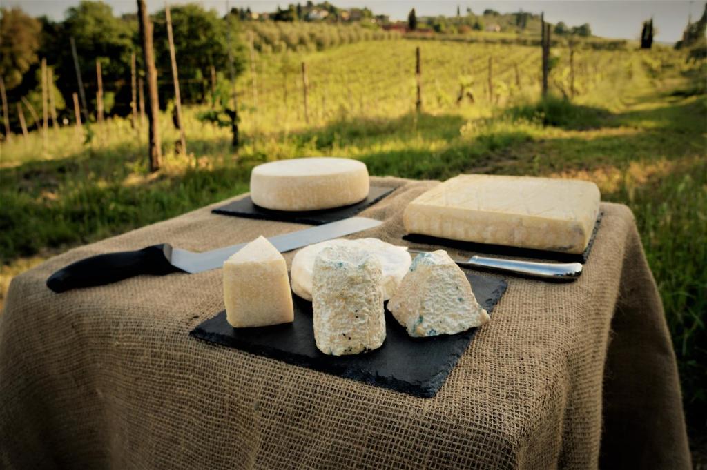 una mesa con tres rebanadas de queso y un cuchillo en Agriturismo Fattoria le caprine en Gambassi Terme