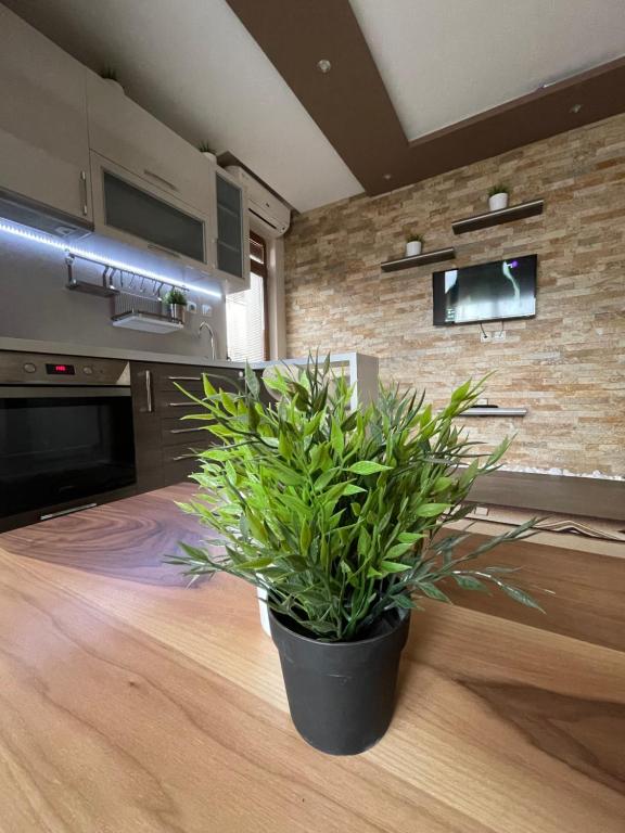 A kitchen or kitchenette at Guest House Amore