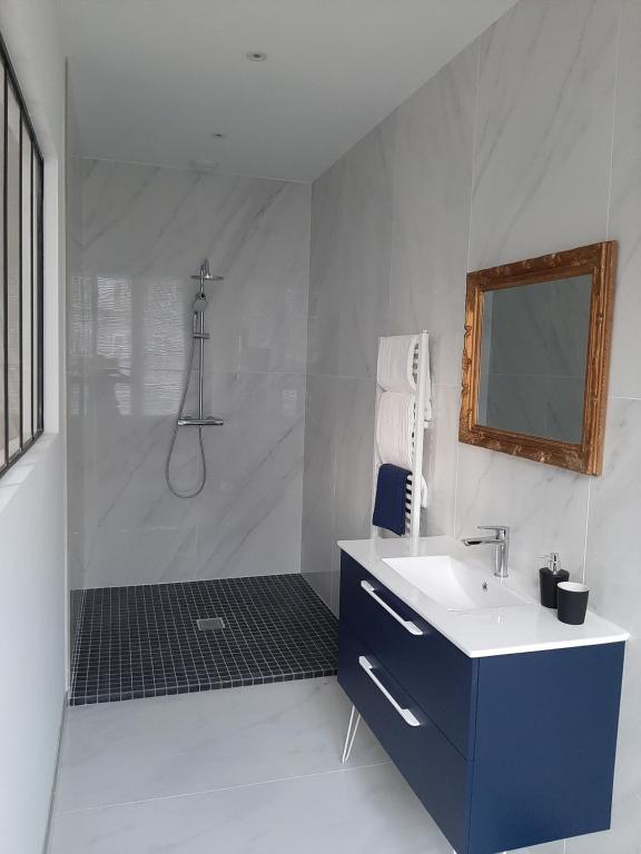 a white bathroom with a sink and a shower at La chambre de maître du boulevard Thiers, entrée et terrasse privatives in Remiremont