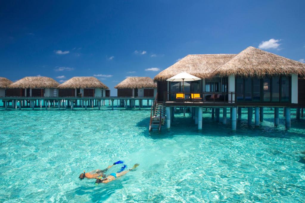 Bazén v ubytování Velassaru Maldives nebo v jeho okolí