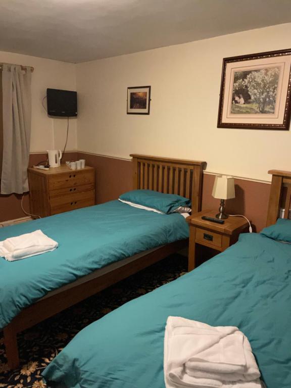 Dinorben Arms Hotel photo