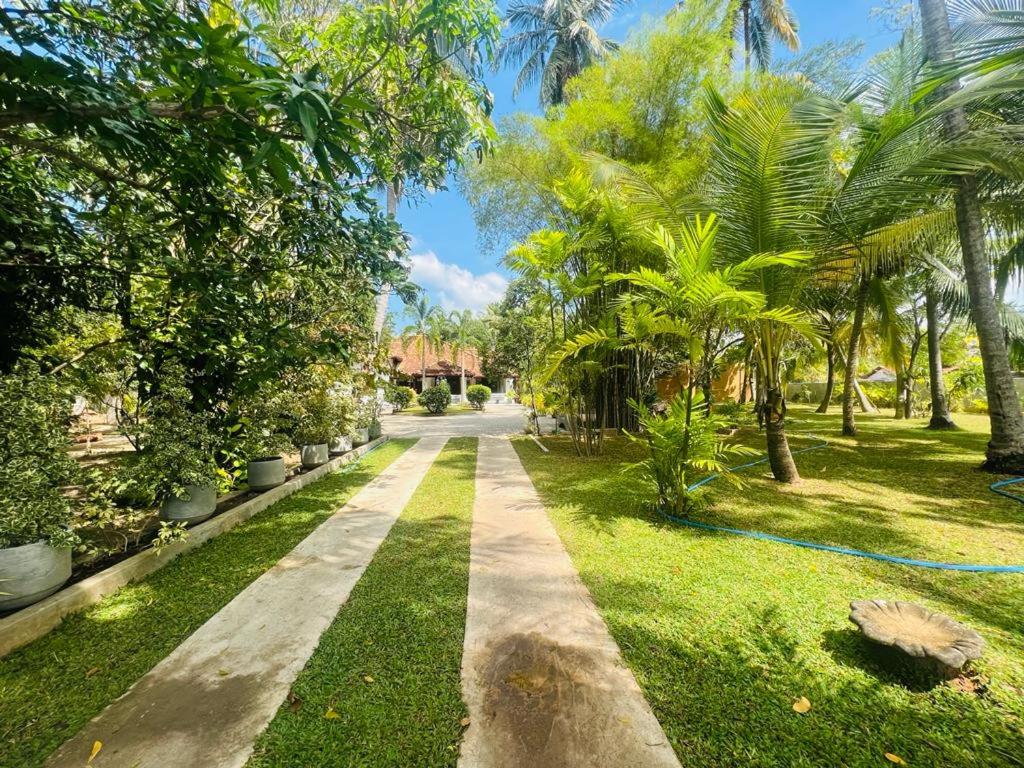 un camino a través de un parque con palmeras y césped en Krishan Villa, en Negombo