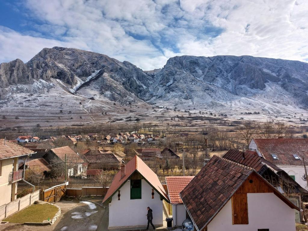 un village avec des maisons et des montagnes en arrière-plan dans l'établissement Félix ház, à Rimetea