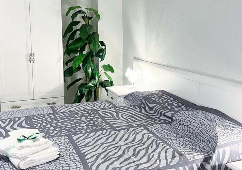 a bedroom with a zebra print bed with a plant at Casa Regina Margherita, possibilità di posteggio moto e bici in Troia