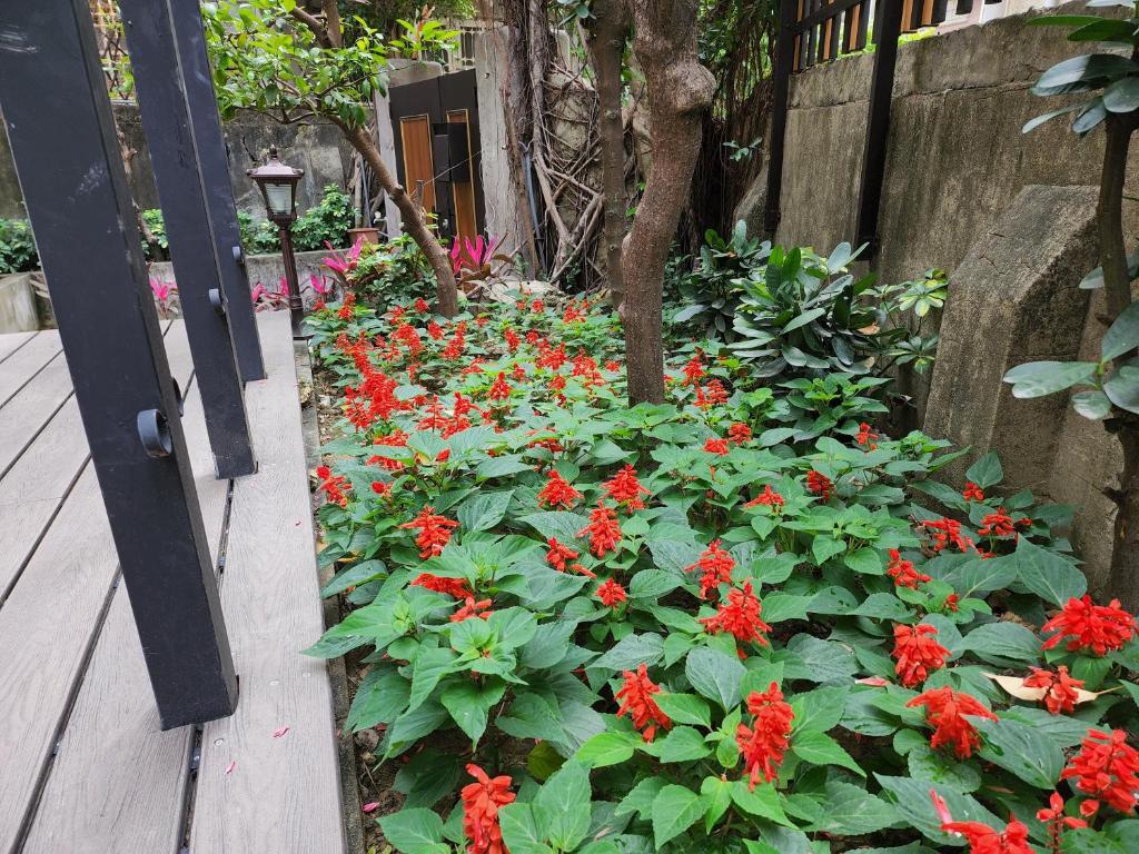 Un jardín fuera de 藏風民宿THE WIND GUESTHOUSE 2022